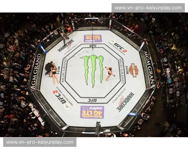 UFC赛事一览:全景速览与观看指南